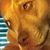 Jennifer Thigpen's profile image