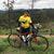 Fabiana Montenegro's profile image