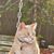 Trish Barry-Sonntag's profile image