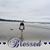 Linda Anderson's profile image