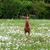 Renae Spargo's profile image