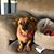 Kathleen McCulloch's profile image