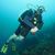 Fred Biebesheimer's profile image