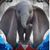 Rhonda Funk Skvoretz's profile image