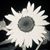 Benjamin Seiger's profile image