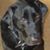 Laurie L. Wagner's profile image