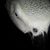 Laura Olson's profile image