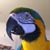 Susan Parks Karmeris's profile image