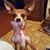 Shirley Phillips's profile image
