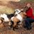 Glenys Gotthardt's profile image