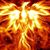 Grace Solano's profile image