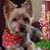 Sue Morande Dougherty's profile image
