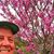 Roger Boddaert's profile image