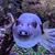 Karin M. Eirosius's profile image