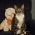 Yvette Maris's profile image