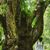 Jeet Parikh's profile image