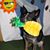 Alison Baake Lincoln's profile image