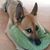 Yyun Lung Chen's profile image