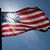 Steve Kirchgessner's profile image