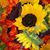 Carolyne Brad Cleveland-Pickering's profile image