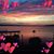 Robert Sherry Williams's profile image