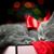Rebecca Guler's profile image