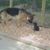 Susan Selzer's profile image