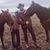 Abby Lauren Caswell's profile image