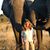 Susan Bouthillette Bennett's profile image