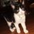 Lisa Dixon McLean's profile image