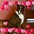 Judy Agnew Pasbrig's profile image