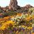 Anna M LaSalvia's profile image