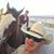 Tabatha Showman's profile image