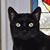 M Scott Clark's profile image