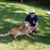 James Bafaro's profile image