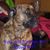 Patrick Randall Thompson's profile image