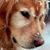 Julie L.Tuma's profile image