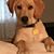 Dennis Raisor's profile image