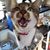 Clo Wilson's profile image