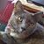 Tina Marie Harris- Faught's profile image