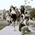 Cheryl Hsiao's profile image