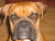 Holly G.'s profile image