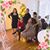 Claudia Isela Cruz's profile image