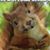 Kathy Vargo DeNardo's profile image