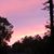 Kellie Lee Burkett's profile image