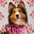 Karen Bordonaro's profile image