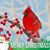 Diane Wiese Wright's profile image