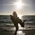 Rachel S Virtullo's profile image