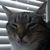 Bill McConaghy's profile image