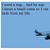 Pamela Leone Jones's profile image
